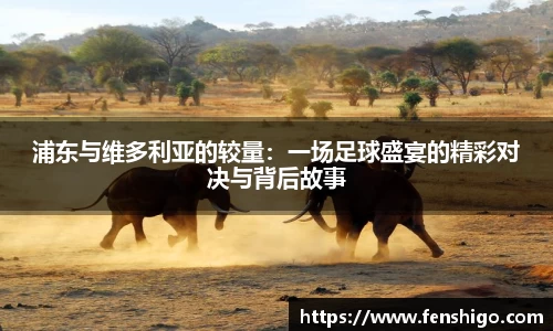 浦东与维多利亚的较量：一场足球盛宴的精彩对决与背后故事